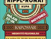 Rippl-Rónai Fesztivál Kaposvár - Megnyitó Felvonulás