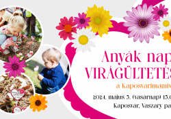 Anyák napi virágültetés a Kaposvárimamival - 2024-ben is