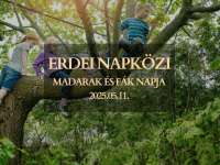 ERDEI NAPKÖZI -Madarak és fák napja 