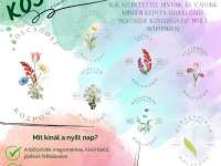 Bölcsőde Kóstolgató