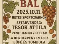 Jótékonysági Szüret Bál